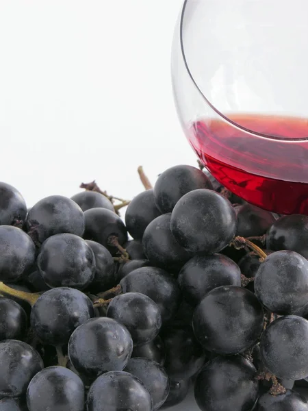Uvas pretas e vinho tinto em vidro — Fotografia de Stock