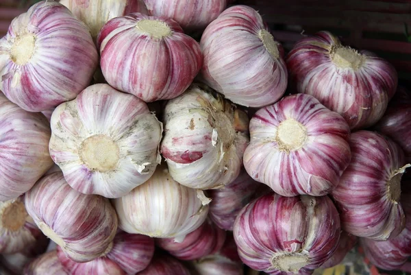 stock image Garlic