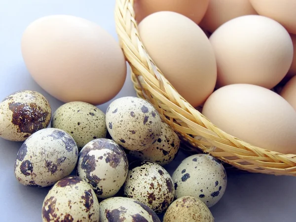 Různé vejce jako zdravých potravin — Stock fotografie