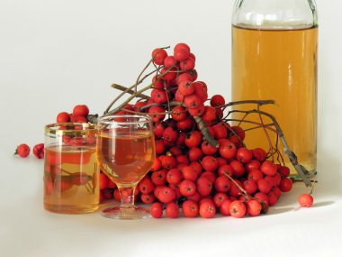 Rowan berries and vodka clipart