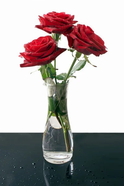 Red roses in glass transparent phial — Stock Photo, Image