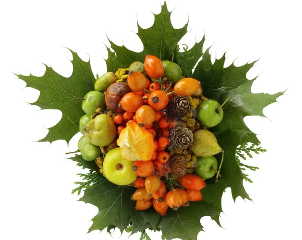 Een herfst vruchten en bladeren in krans — Stockfoto