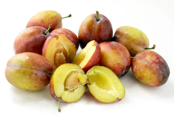 Lila and yellow Plums — Stock Photo, Image