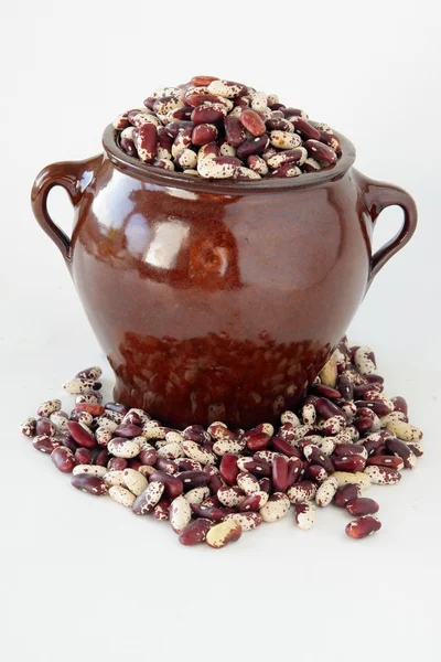 Red bean seeds in brown ceramic mug — Stock Photo, Image