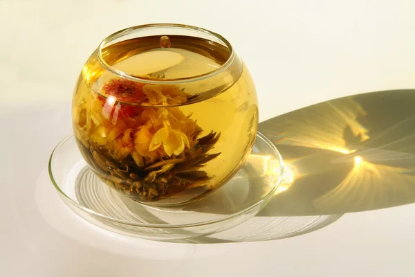 Специальный чай в стеклянном банке — стоковое фото