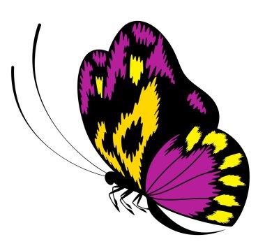 Tropical butterfly clipart