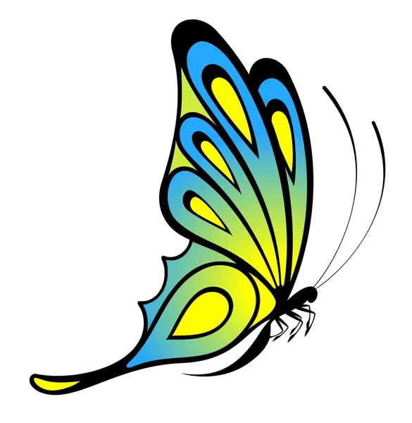 Tropický motýl — Stock fotografie