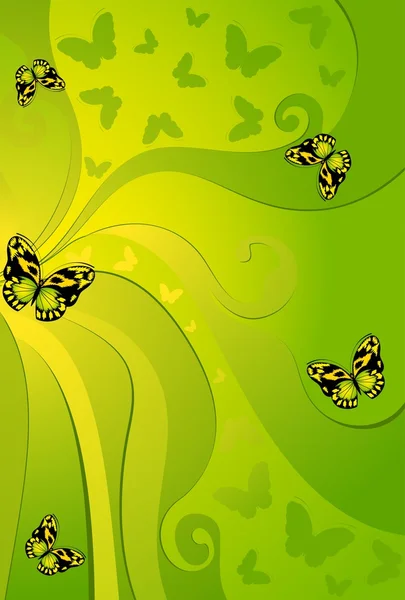 Sfondo con farfalle — Foto Stock
