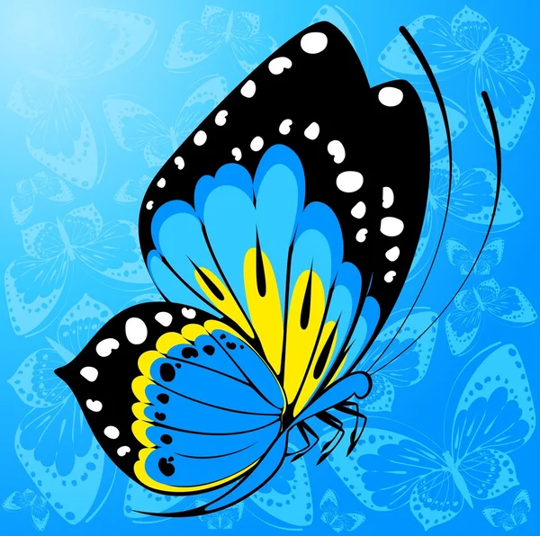 Sfondo con farfalle — Foto Stock