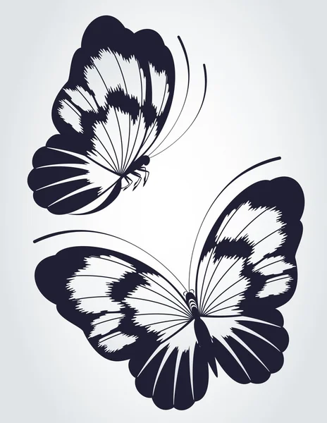 Mariposa tropical —  Fotos de Stock