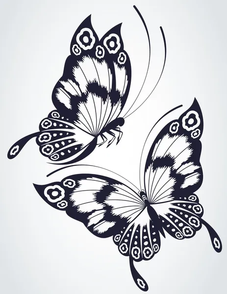 Tropických motýlů jsou izolované na bílém pozadí. — Stock fotografie