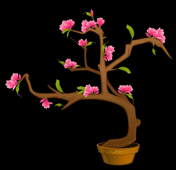 Smukke bonsai med blomster - Stock-foto