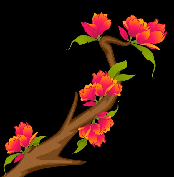 Schöner Bonsai mit Blumen — Stockfoto