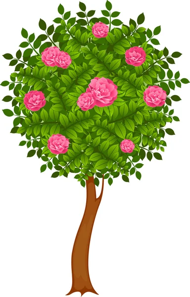 Träd med rosor — Stockfoto