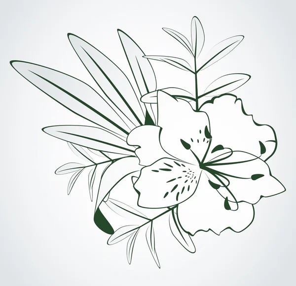 Krásná lily designový prvek — Stock fotografie