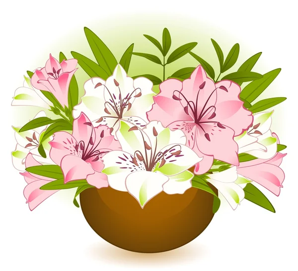 Bellissimo bouquet di Lily — Foto Stock