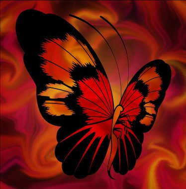 Beautiful background with tropical butterfly clipart