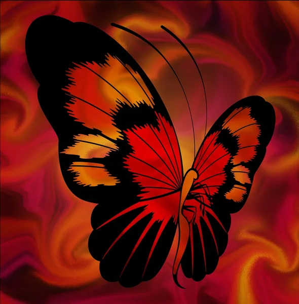Hermoso fondo con mariposa tropical — Foto de Stock