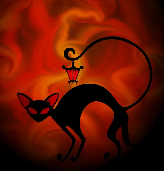 Czarny kot z Lampa — Zdjęcie stockowe
