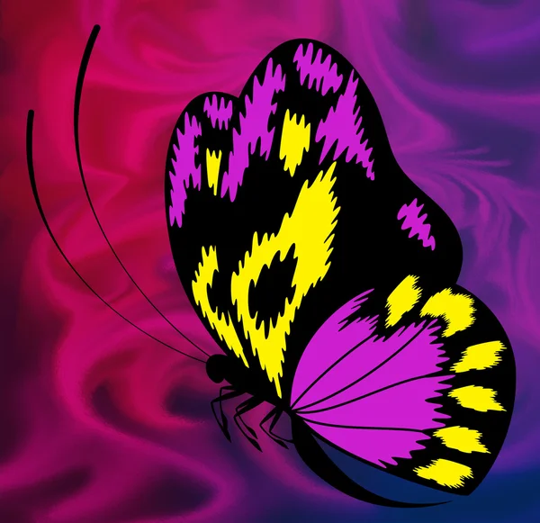 Schöner Hintergrund mit tropischem Schmetterling — Stockfoto