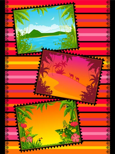Krásná krajina s tropickými rostlinami. prázdná pohlednice — Stock fotografie