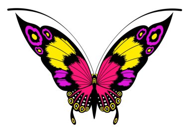 Tropical butterfly clipart