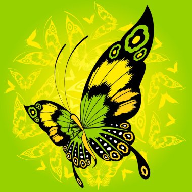 Tropical butterfly clipart