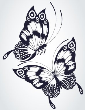 Tropical butterfly clipart