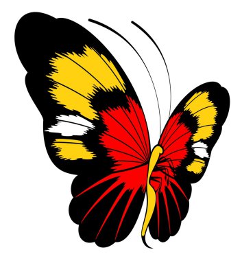 Tropical butterfly clipart