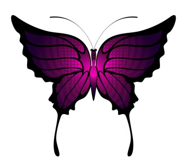 Tropical butterfly clipart