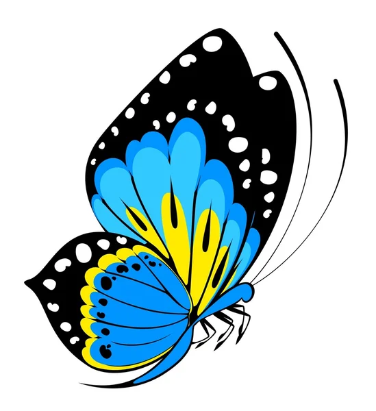 熱帯の蝶 — ストックベクタ