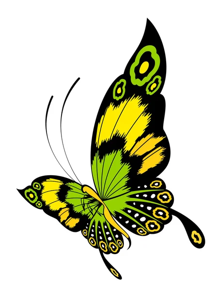 Tropische vlinder — Stockvector
