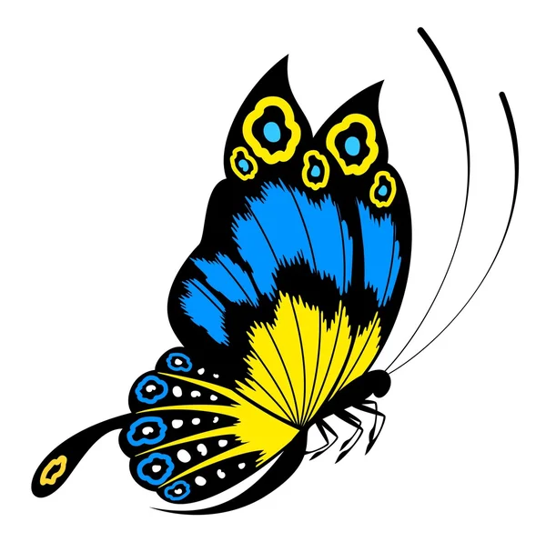 Тропическая бабочка — стоковый вектор