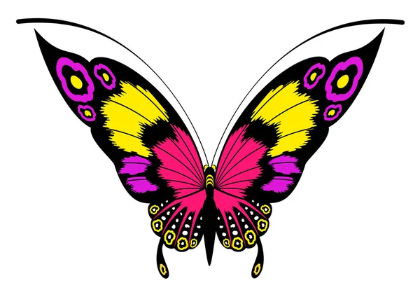 Tropický motýl — Stockový vektor
