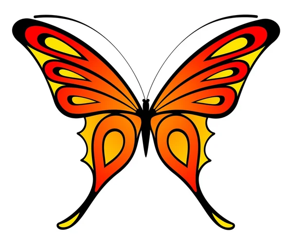 Τροπικά πεταλούδα — Διανυσματικό Αρχείο
