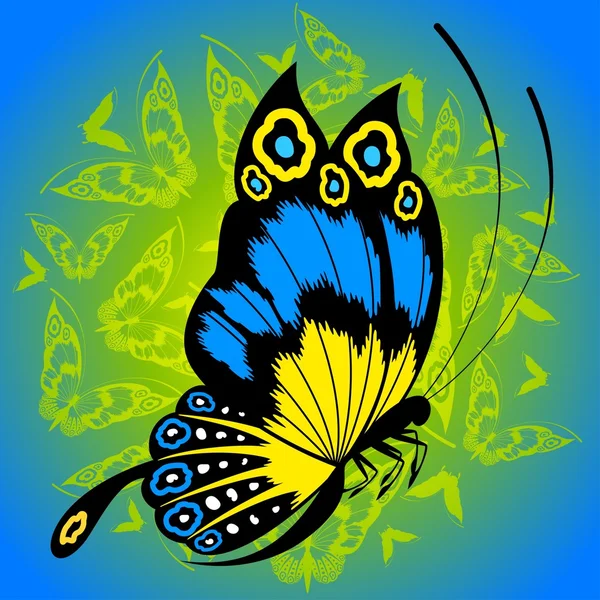 Tropischer Schmetterling — Stockvektor