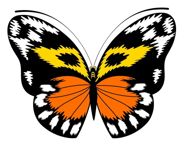 熱帯の蝶 — ストックベクタ