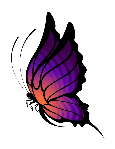 Farfalla tropicale — Vettoriale Stock