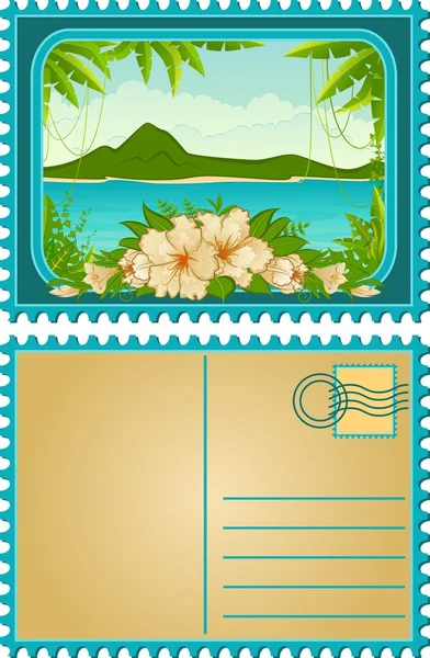 Beautiful Landscape with tropical plants. Blank Postcard — Stock Vector