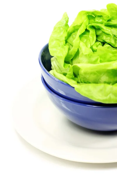 Green lettuce leaves in a bowl — Stock Photo, Image