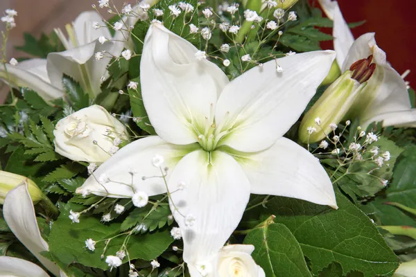 Белый цветок на свадебном украшении в помещении — стоковое фото