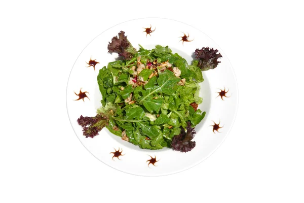Зеленый салат с курицей — стоковое фото