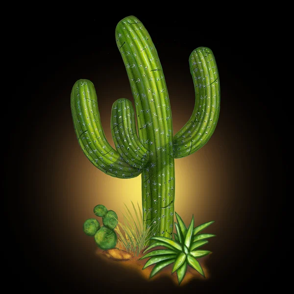 Kaktusz, sivatagi növény — Stock Fotó