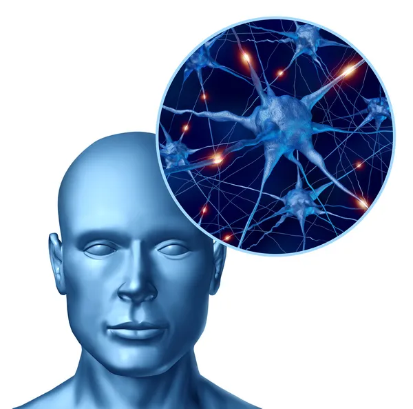 활성 뉴런으로 인간의 지능 — 스톡 사진