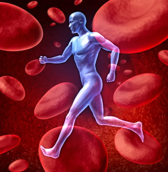 Menselijke bloedsomloop bloed systeem — Stockfoto