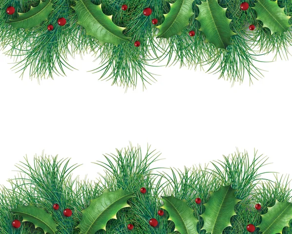 Pine branches with holly — Stock Photo, Image