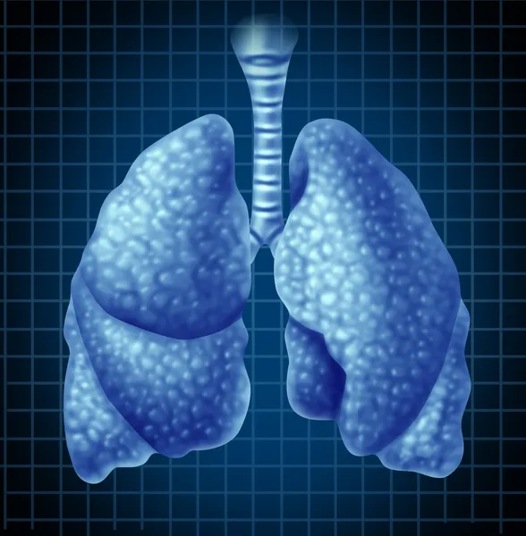 폐 기관 의료 기호 — 스톡 사진