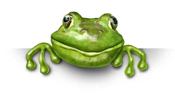 Žába drží prázdný znak — Stock fotografie