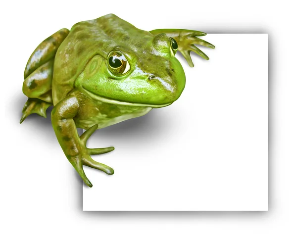 Frosch mit leerem Schild — Stockfoto
