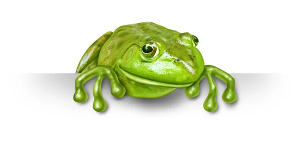 Zelená žába s prázdný znak — Stock fotografie